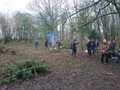 Vols in Kensington Wood - Bluebell clearance